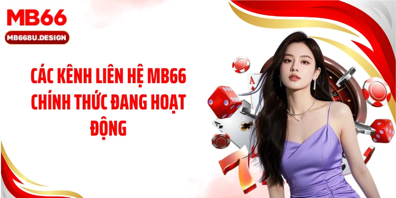 Các kênh liên hệ MB66 chính thức đang hoạt động