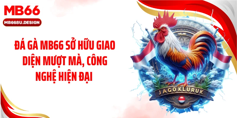 Đá gà MB66 sở hữu giao diện mượt mà, công nghệ hiện đại 
