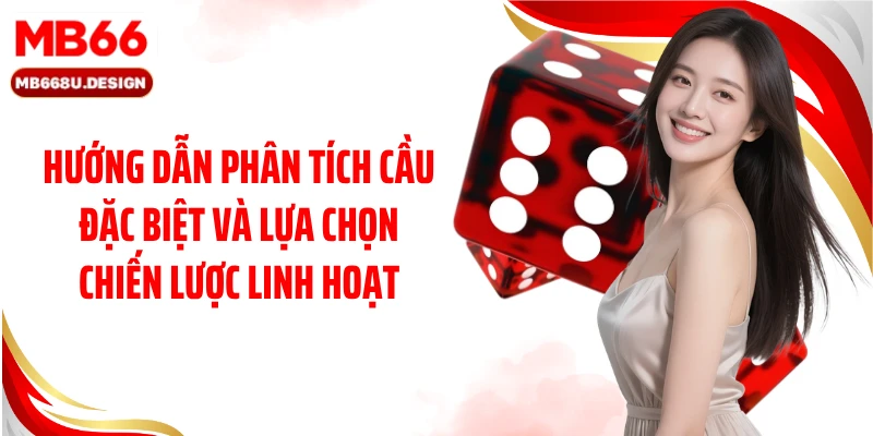 Hướng dẫn phân tích cầu đặc biệt và lựa chọn chiến lược linh hoạt