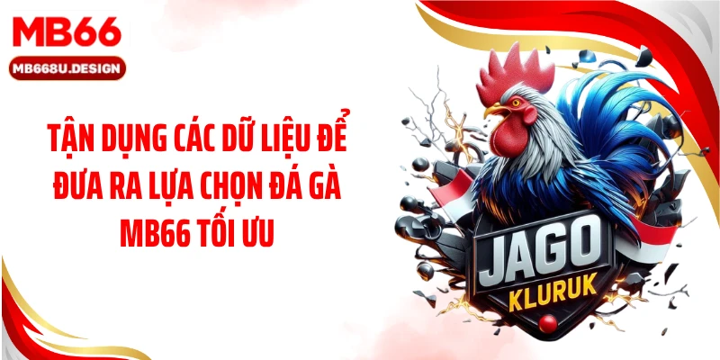 Tận dụng các dữ liệu để đưa ra lựa chọn đá gà MB66 tối ưu