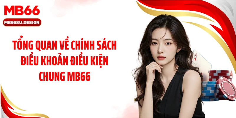 Tổng quan về chính sách điều khoản điều kiện chung MB66